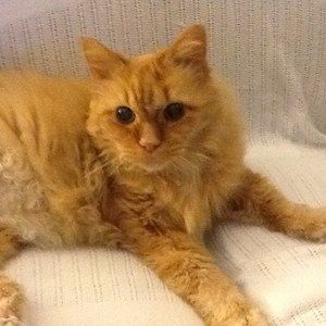 Meet your Posher, Eloise